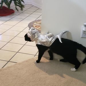 Meet your Posher, William